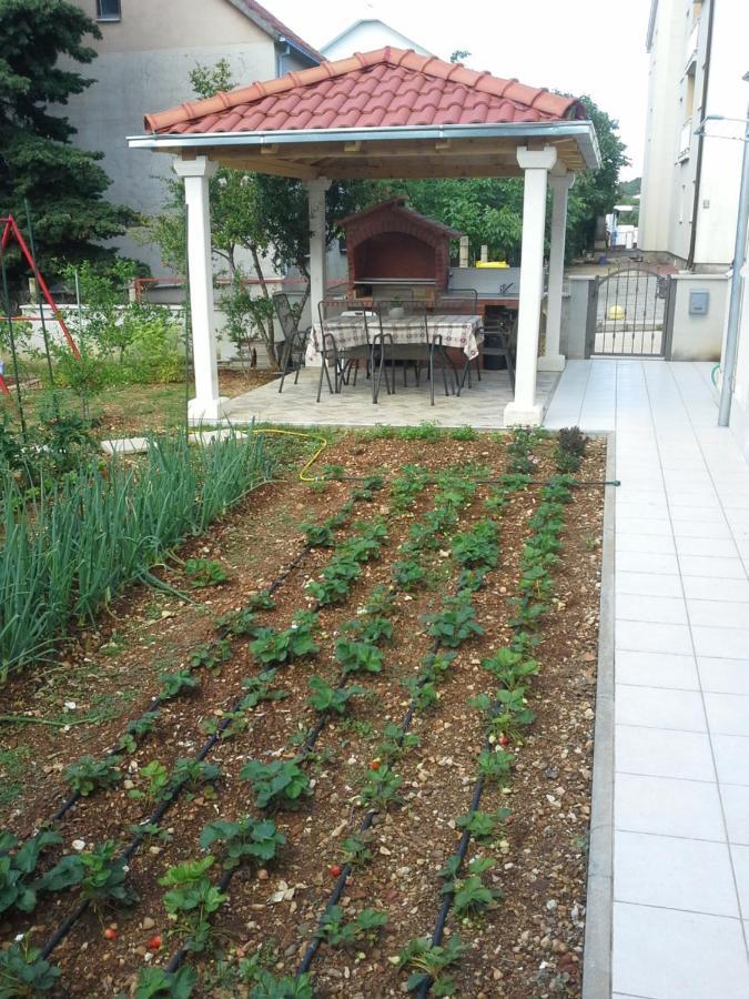 Sanja M 1 Apartment Orebic Exterior photo